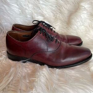 Allen Edmonds CARLYLE Men's Leather Plain-Toe Oxfords 10 EEE Dark Chili‎ USA